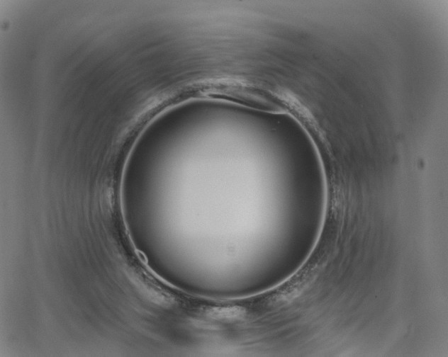 X0000064050063200601301224