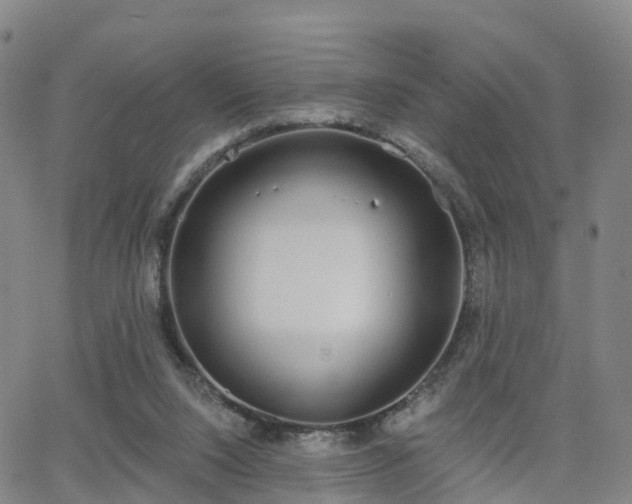 X0000064050064200601301224