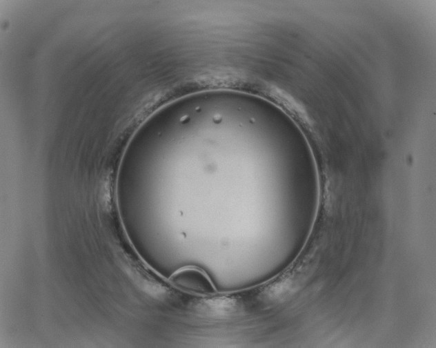 X0000064050065200601301224