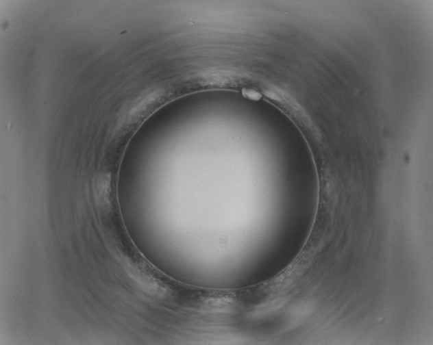 X0000064050066200601301224