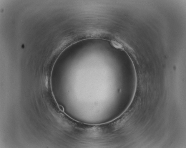 X0000064050067200601301224