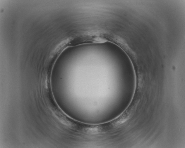 X0000064050068200601301224