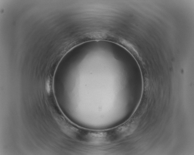 X0000064050069200601301224