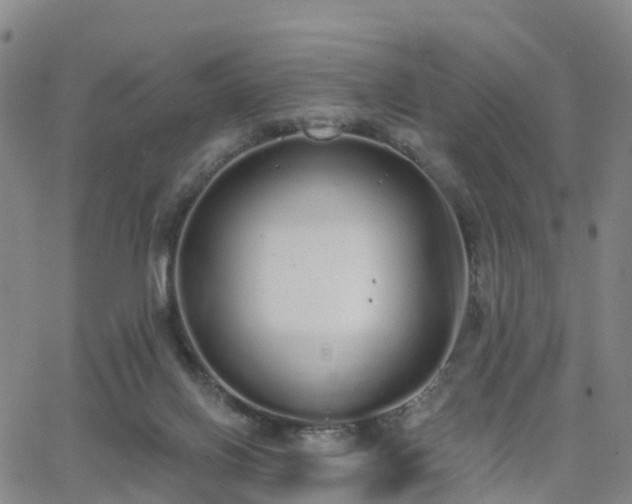 X0000064050070200601301224