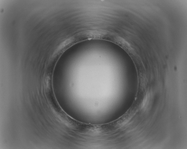 X0000064050071200601301224