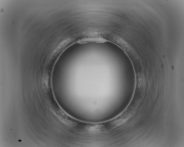 X0000064050072200601301224