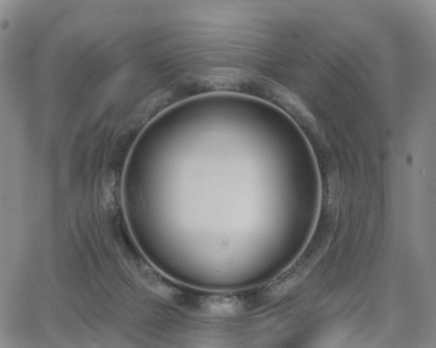 X0000064050073200601301224