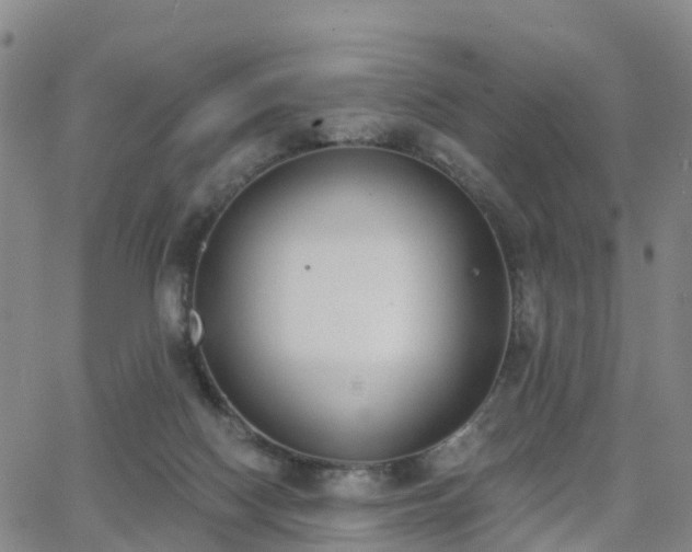 X0000064050074200601301224