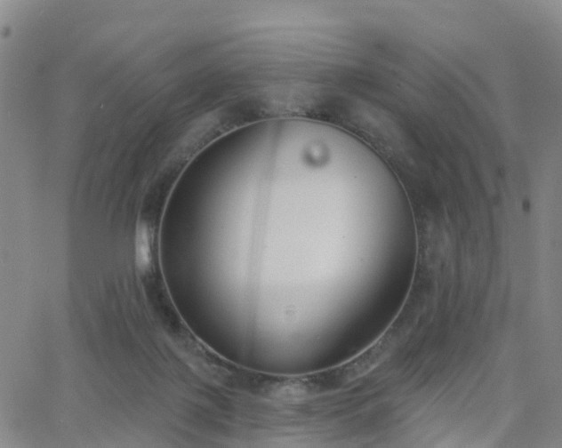 X0000064050075200601301224