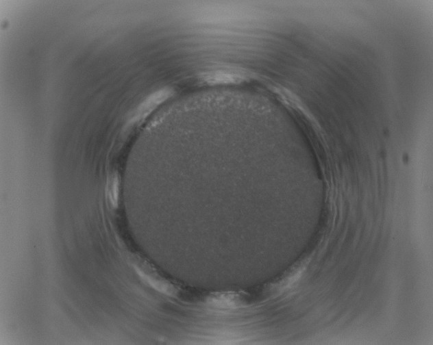 X0000064050076200601301224