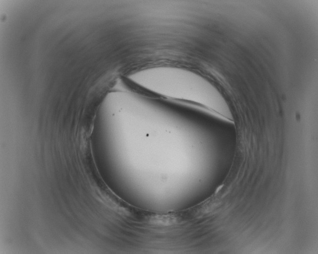 X0000064050077200601301224