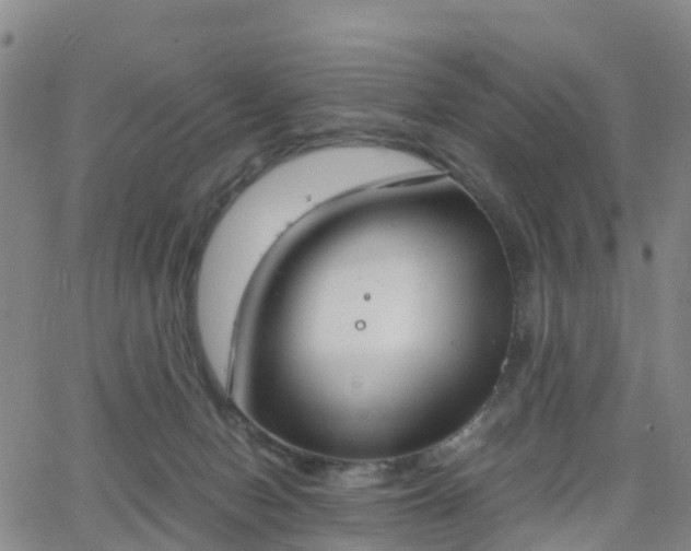 X0000064050078200601301224