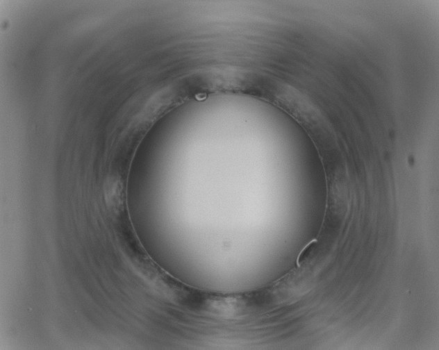 X0000064050079200601301224