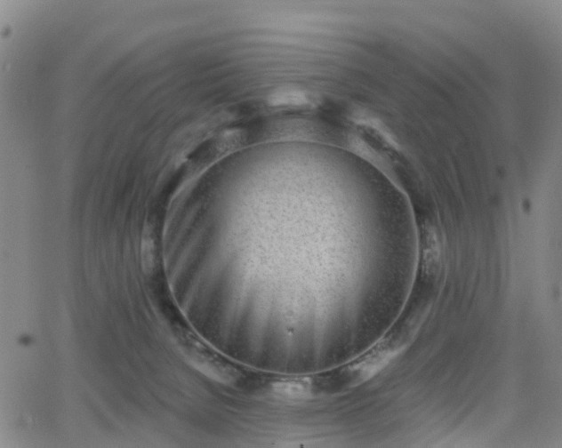 X0000064050080200601301224