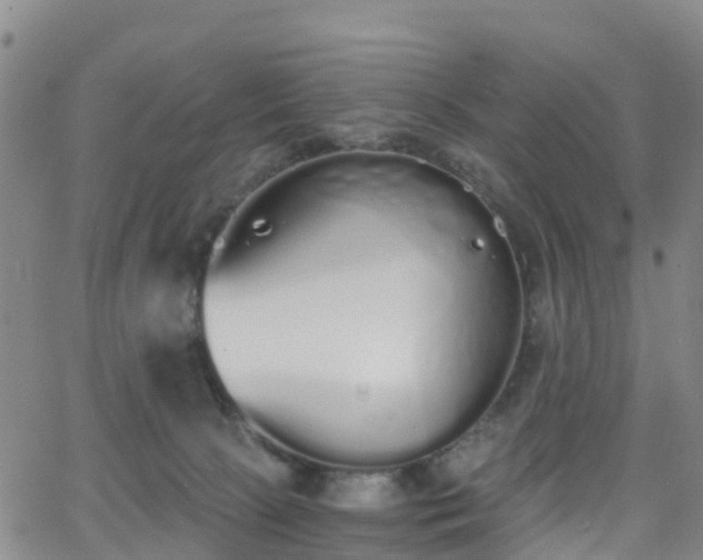 X0000064050081200601301224