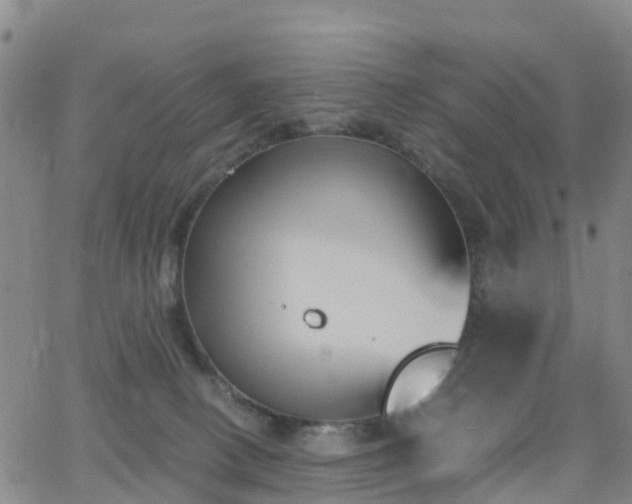 X0000064050082200601301224