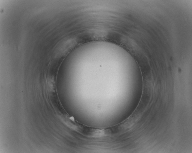 X0000064050083200601301224