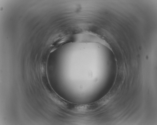 X0000064050084200601301224