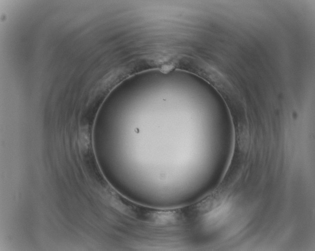 X0000064050085200601301224