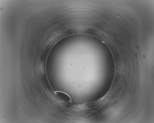 X0000064050086200601301224