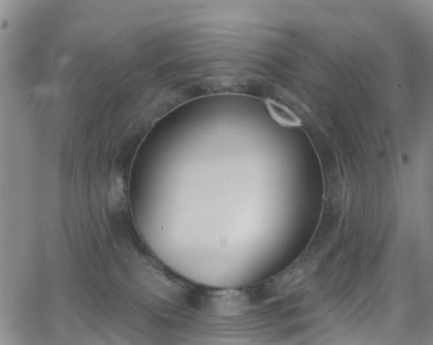 X0000064050087200601301224