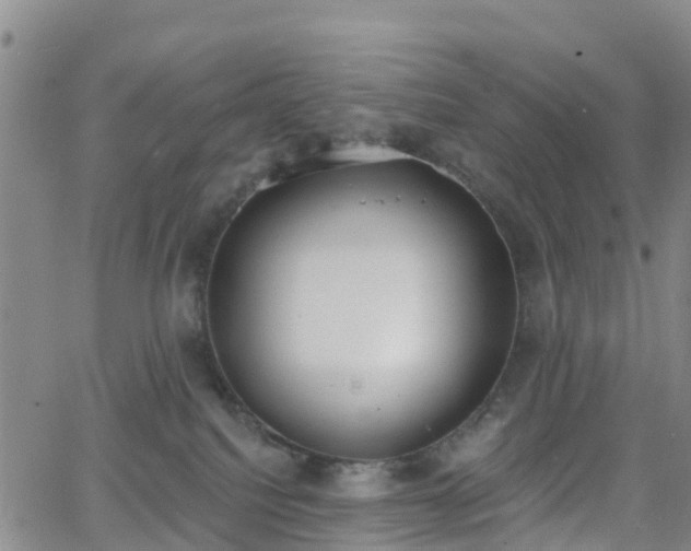 X0000064050088200601301224