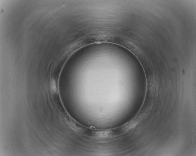 X0000064050089200601301224