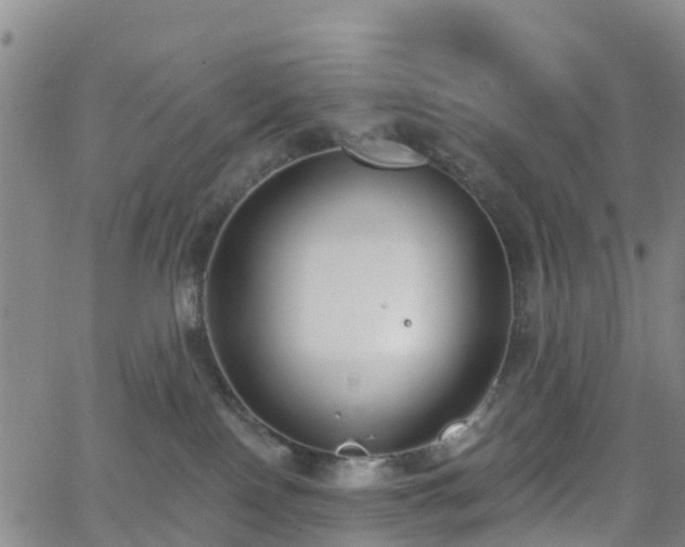 X0000064050090200601301224