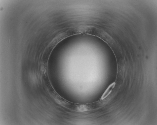 X0000064050091200601301224