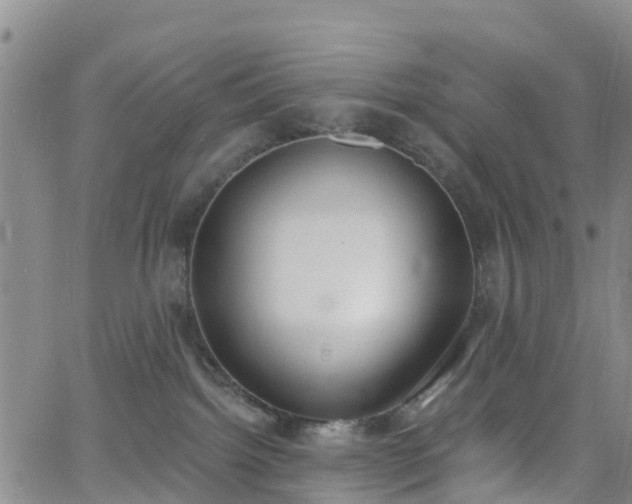 X0000064050092200601301224