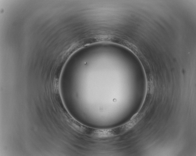 X0000064050093200601301224