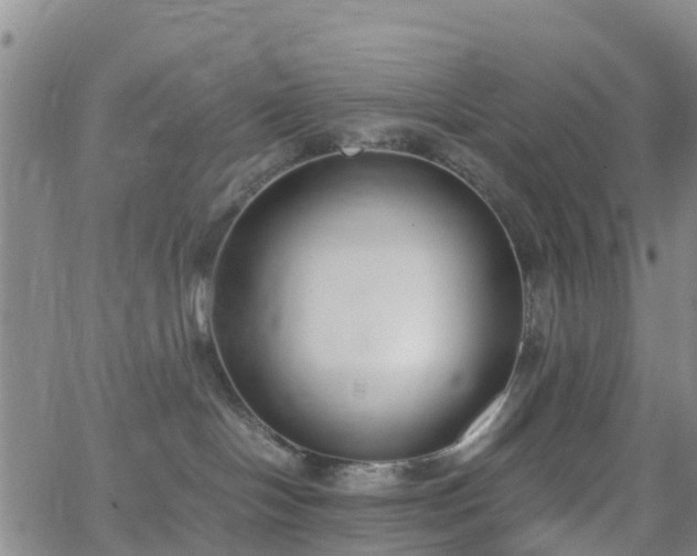 X0000064050094200601301224