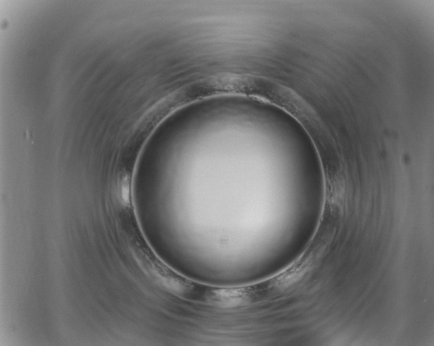 X0000064050095200601301224