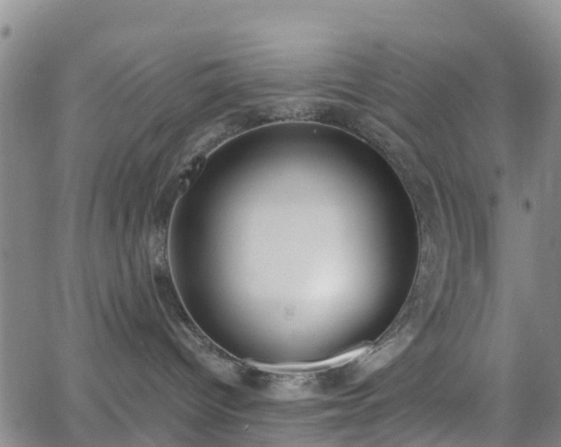 X0000064050096200601301224