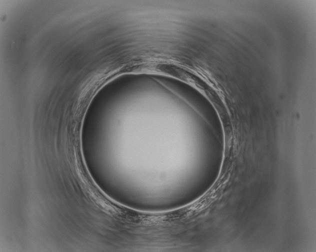 X0000064050097200601301223