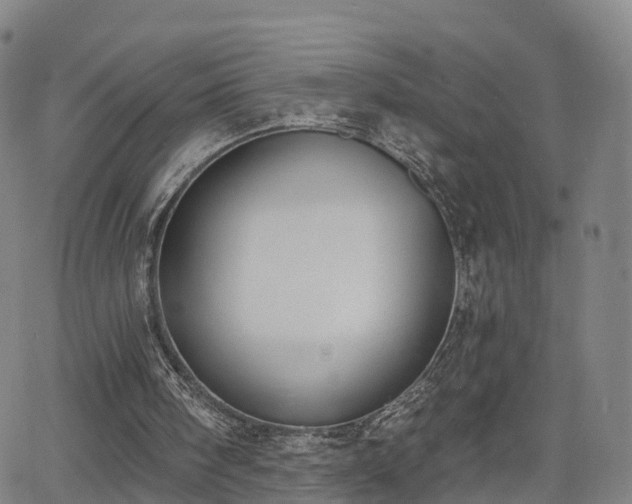 X0000064050098200601301223