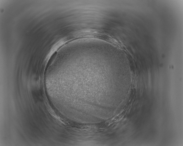 X0000064050099200601301223