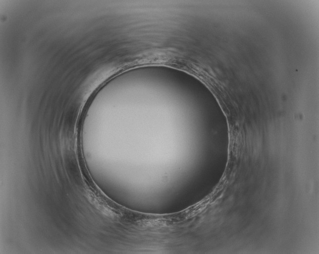 X0000064050100200601301223