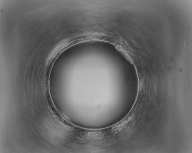 X0000064050101200601301223