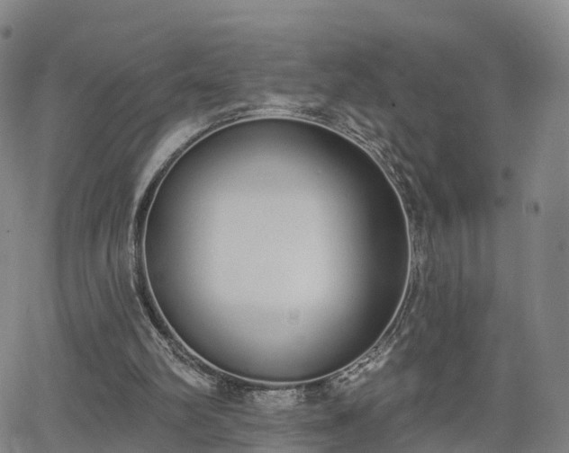 X0000064050102200601301223