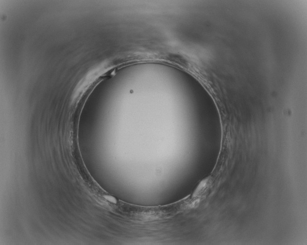 X0000064050103200601301223