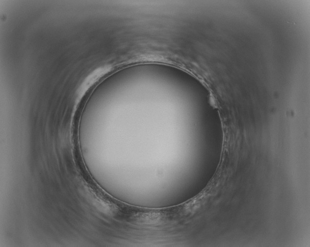 X0000064050104200601301223