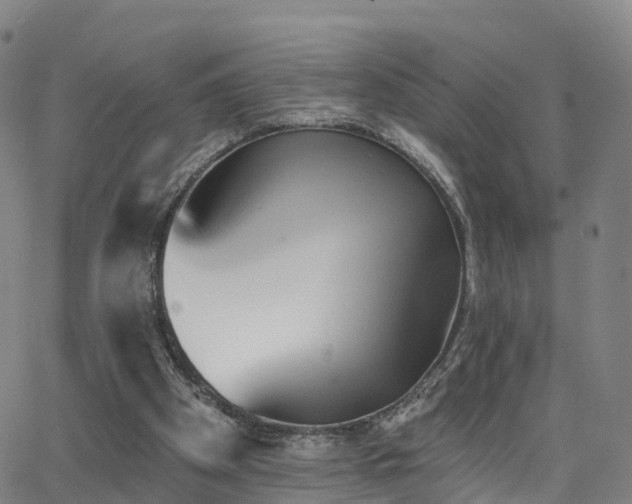 X0000064050105200601301223