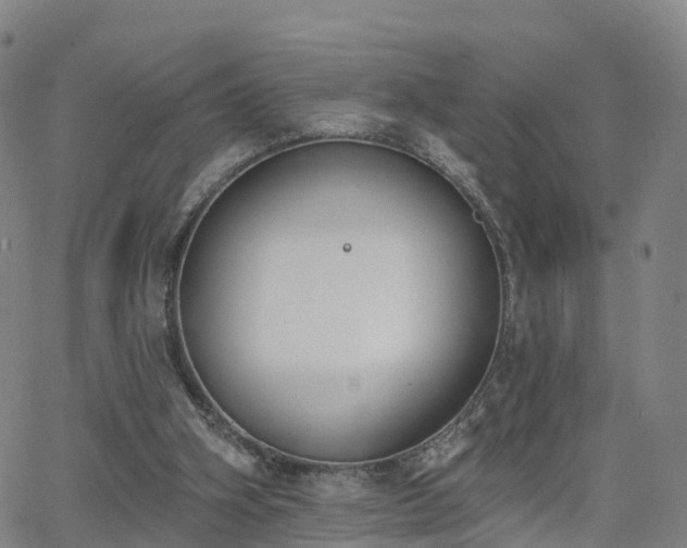 X0000064050106200601301223