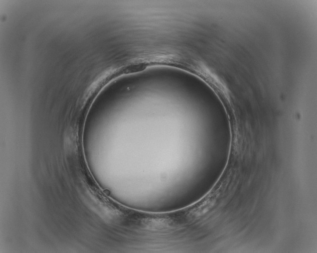 X0000064050107200601301223