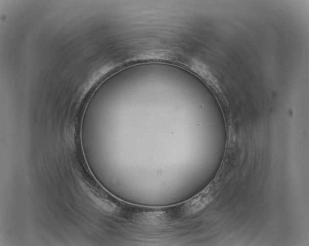 X0000064050108200601301223