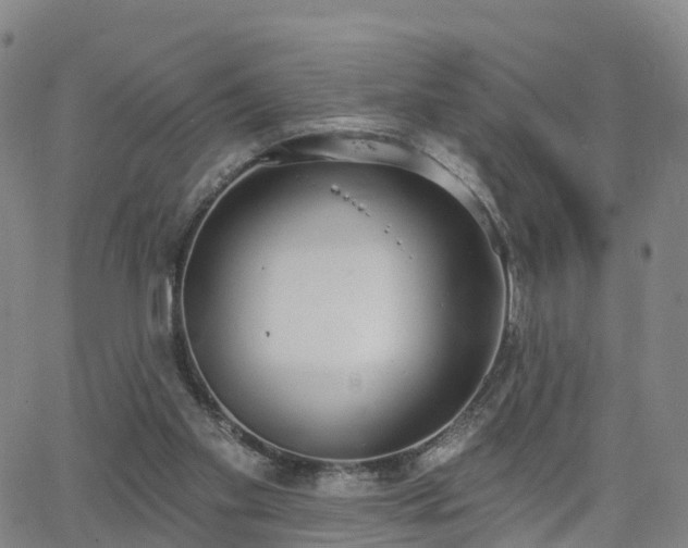 X0000064050109200601301223