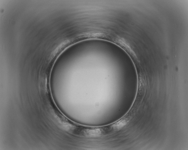 X0000064050110200601301223