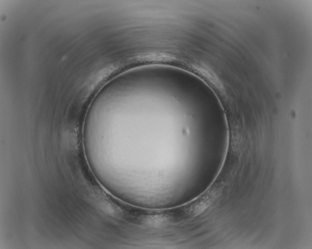 X0000064050111200601301223