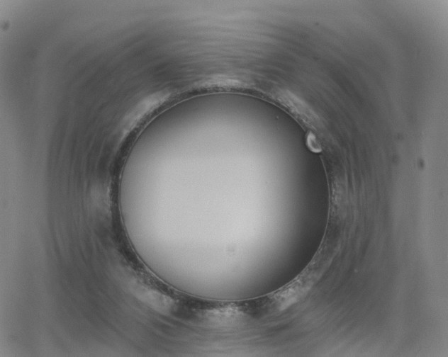 X0000064050112200601301223